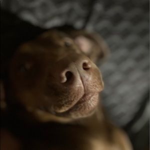 Meet your Posher, Nathan